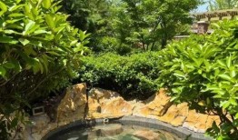 临沂温泉爆料视频大全下载,视频大全带你领略泉城魅力